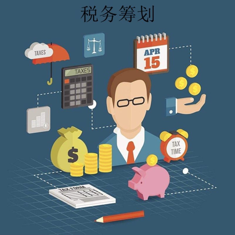 可行性研究报告在项目建设中的关键作用
