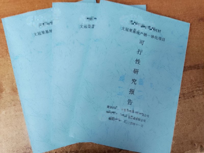 报告助力企业决策:以可行性研究报告为例